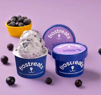 Frostreats Dog Ice Cream - Blueberry