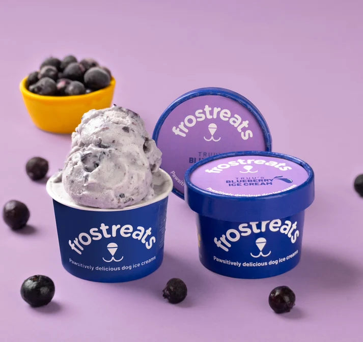 Frostreats Dog Ice Cream - Blueberry