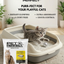 Pet Perfect Premium Bentonite Cat liter 5kg