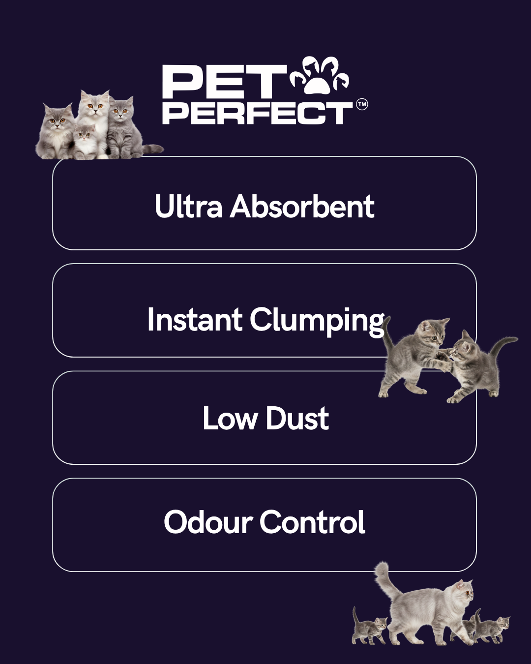 Pet Perfect Premium Bentonite Cat liter 5kg